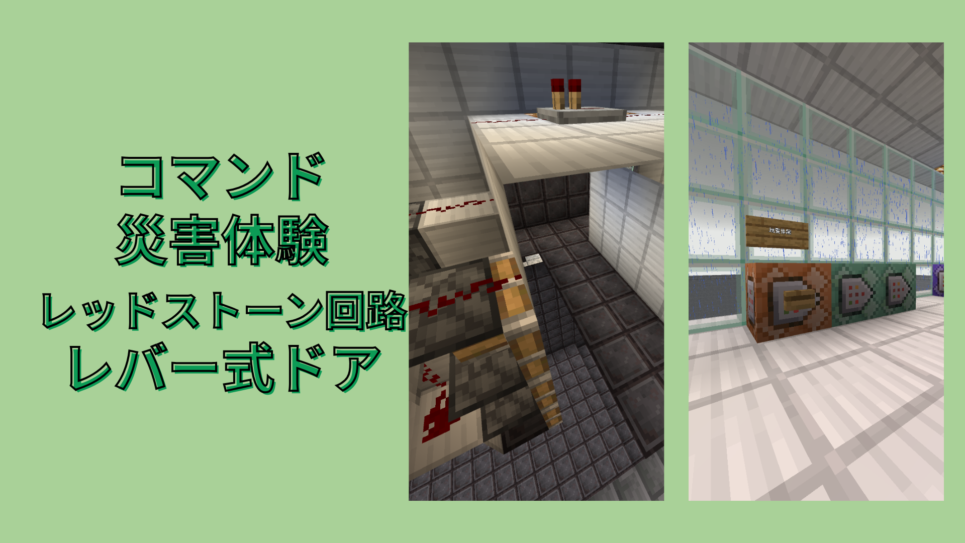 どのようなことを調べたか