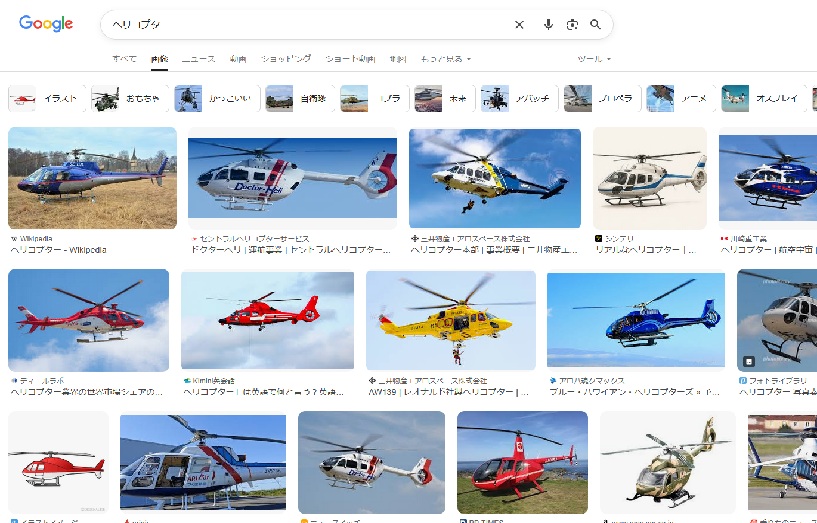 どのようなことを調べましたか?本やネット等、何を使って調べたか。場所や物、事柄を具体的にお書きください。