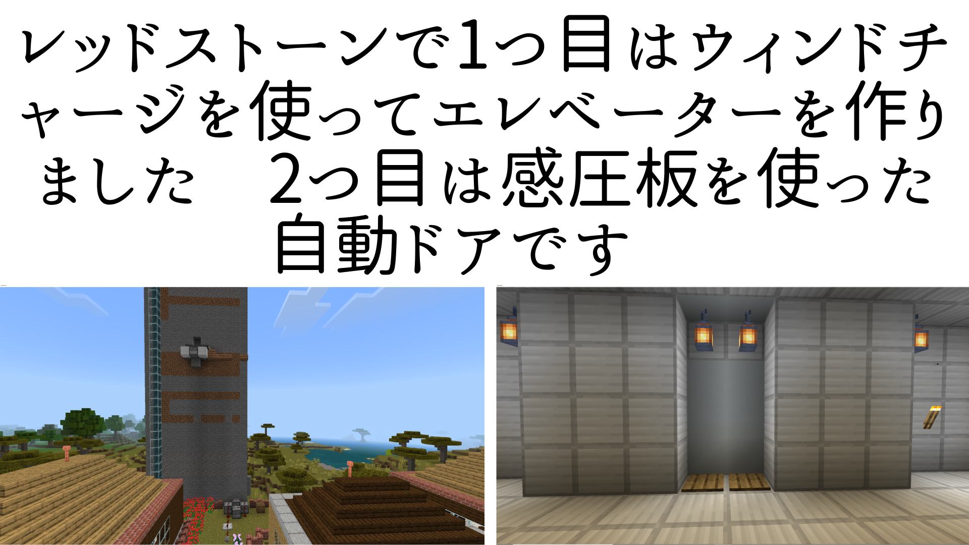 どのようなことを調べたか