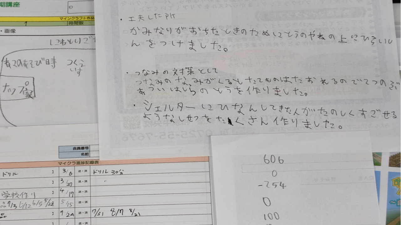 プログラミングなどを、どのように使ったか