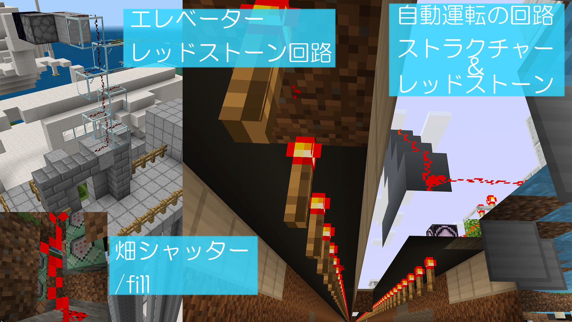 どのようなことを調べたか