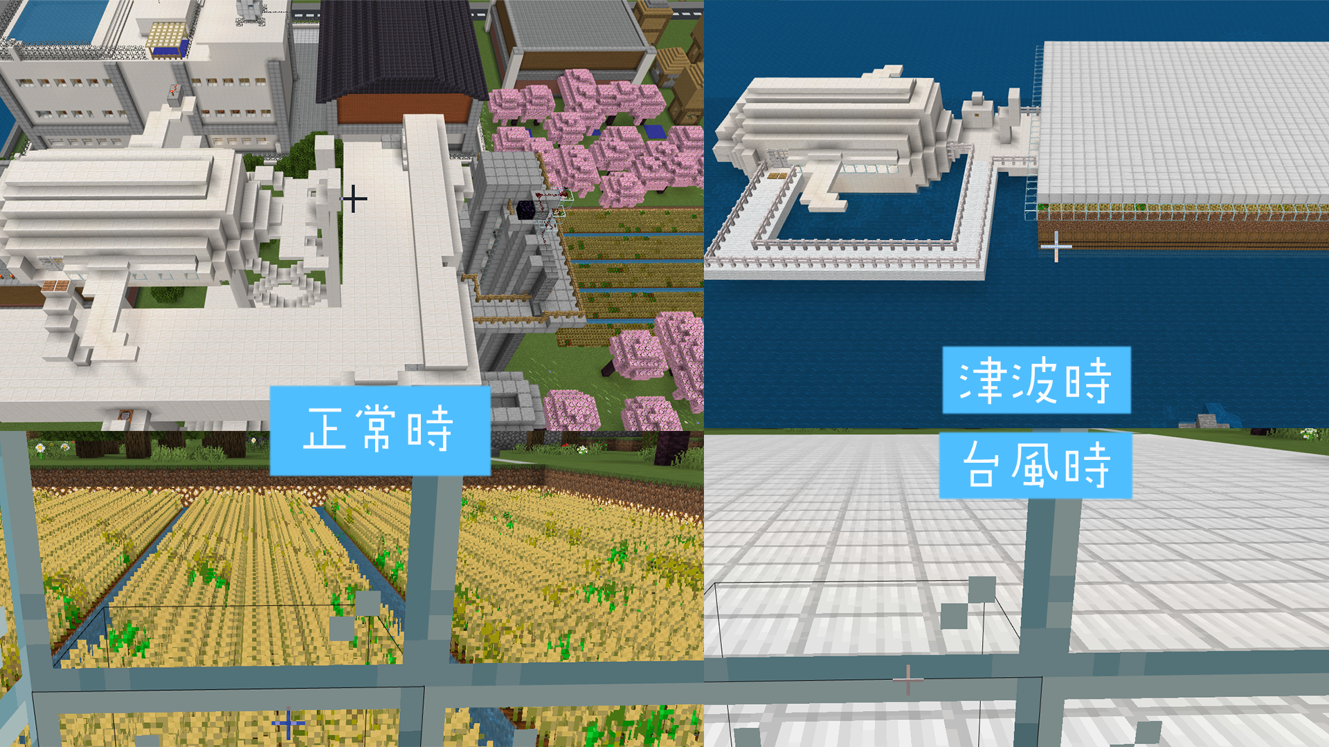 作品の中で注目してみてほしいところ