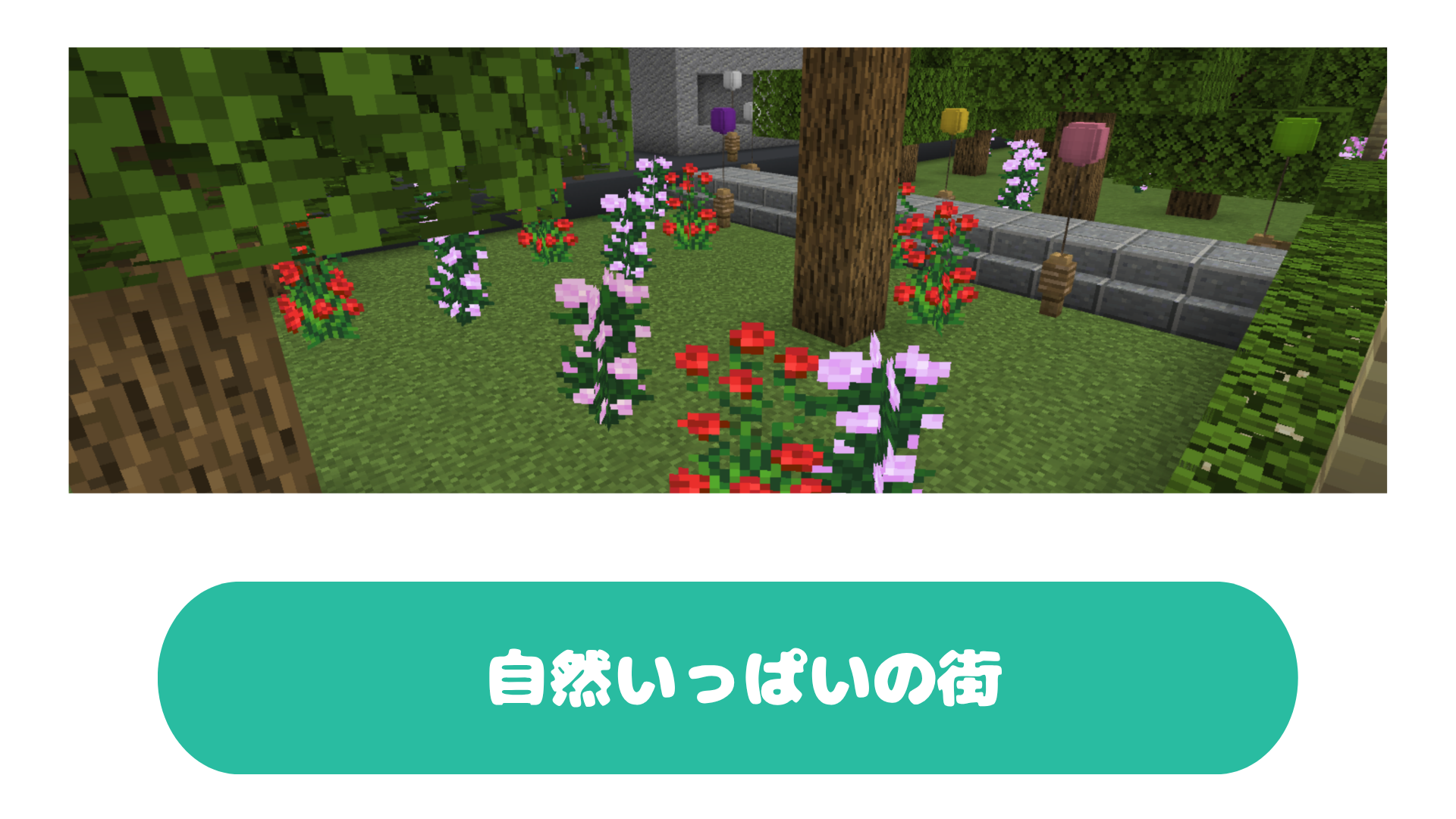 自然いっぱいの街