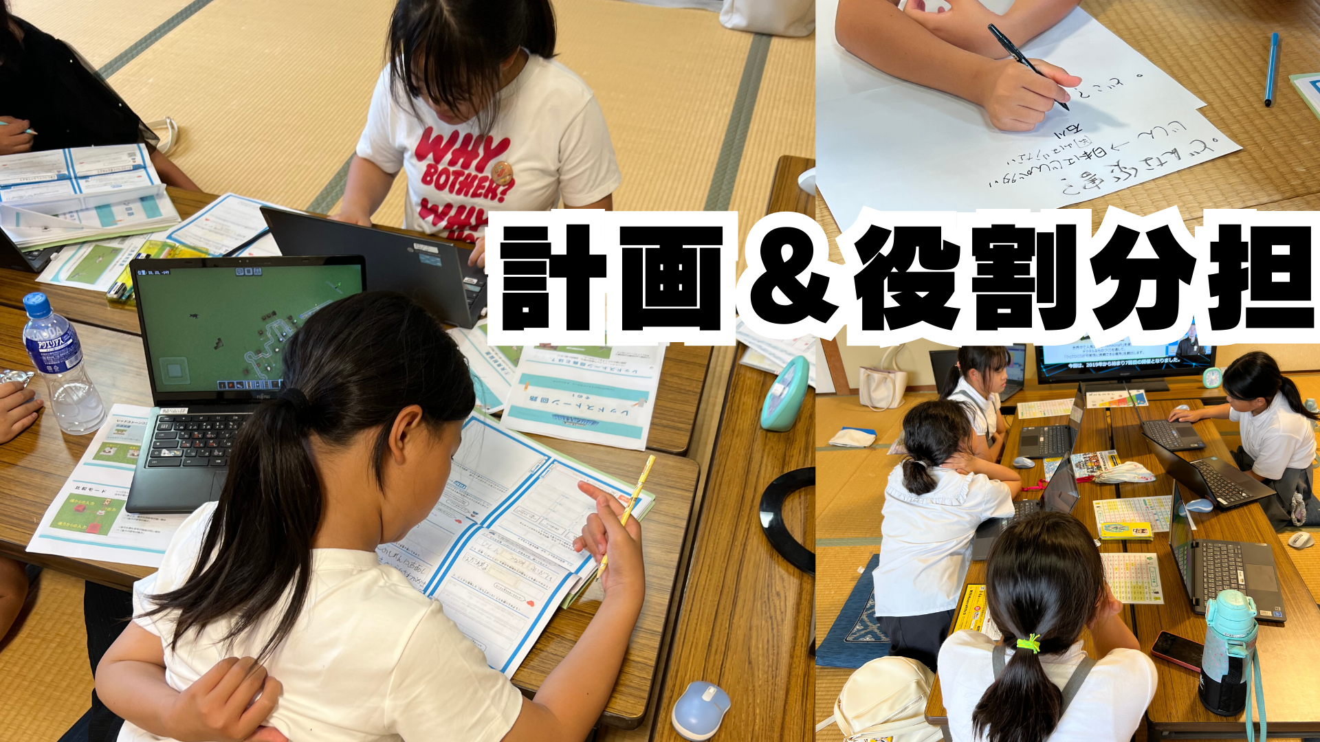 プログラミングなどを、どのように使ったか