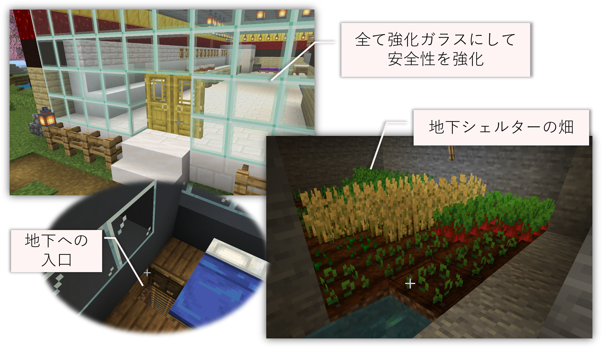 作品の中で注目してみてほしいところ