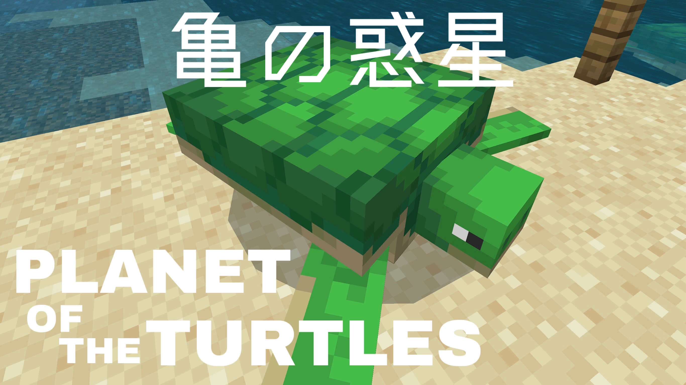 PLANET OF THE TURTLES/亀の惑星 〜海の豊かさを守ろう〜