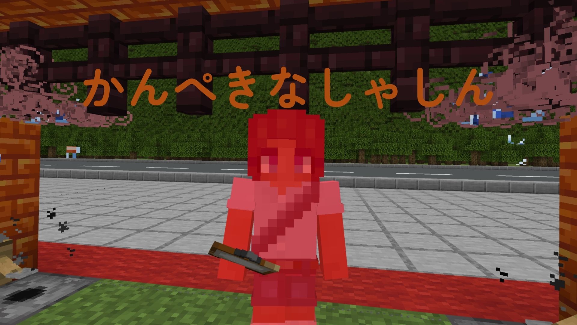 プログラミングなどを、どのように使ったか