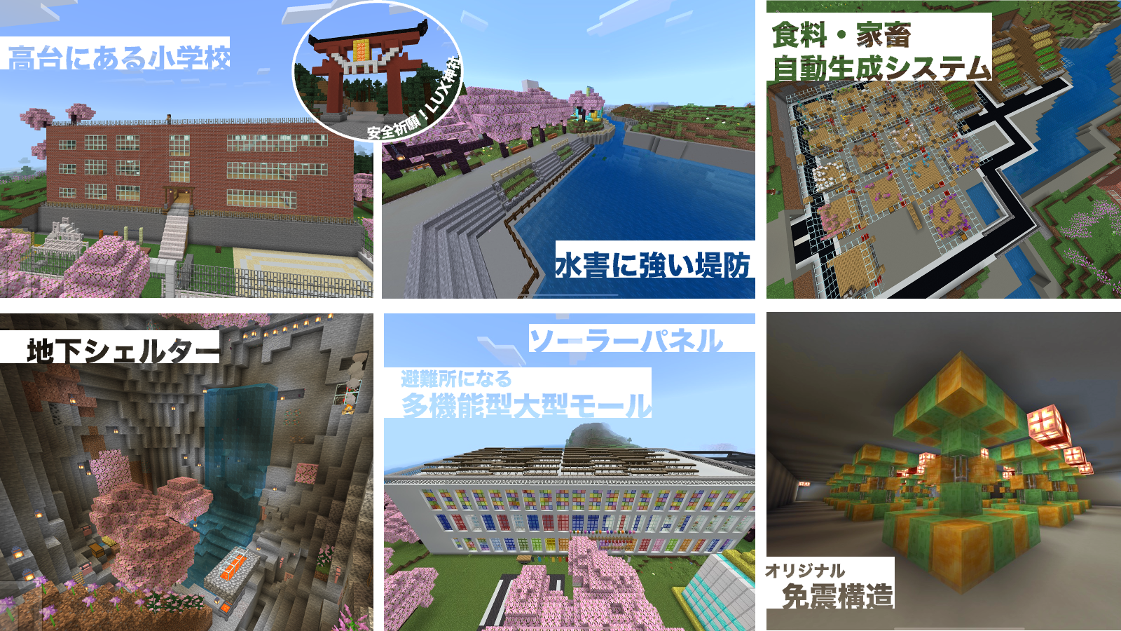どのような計画をたてて制作をすすめたか