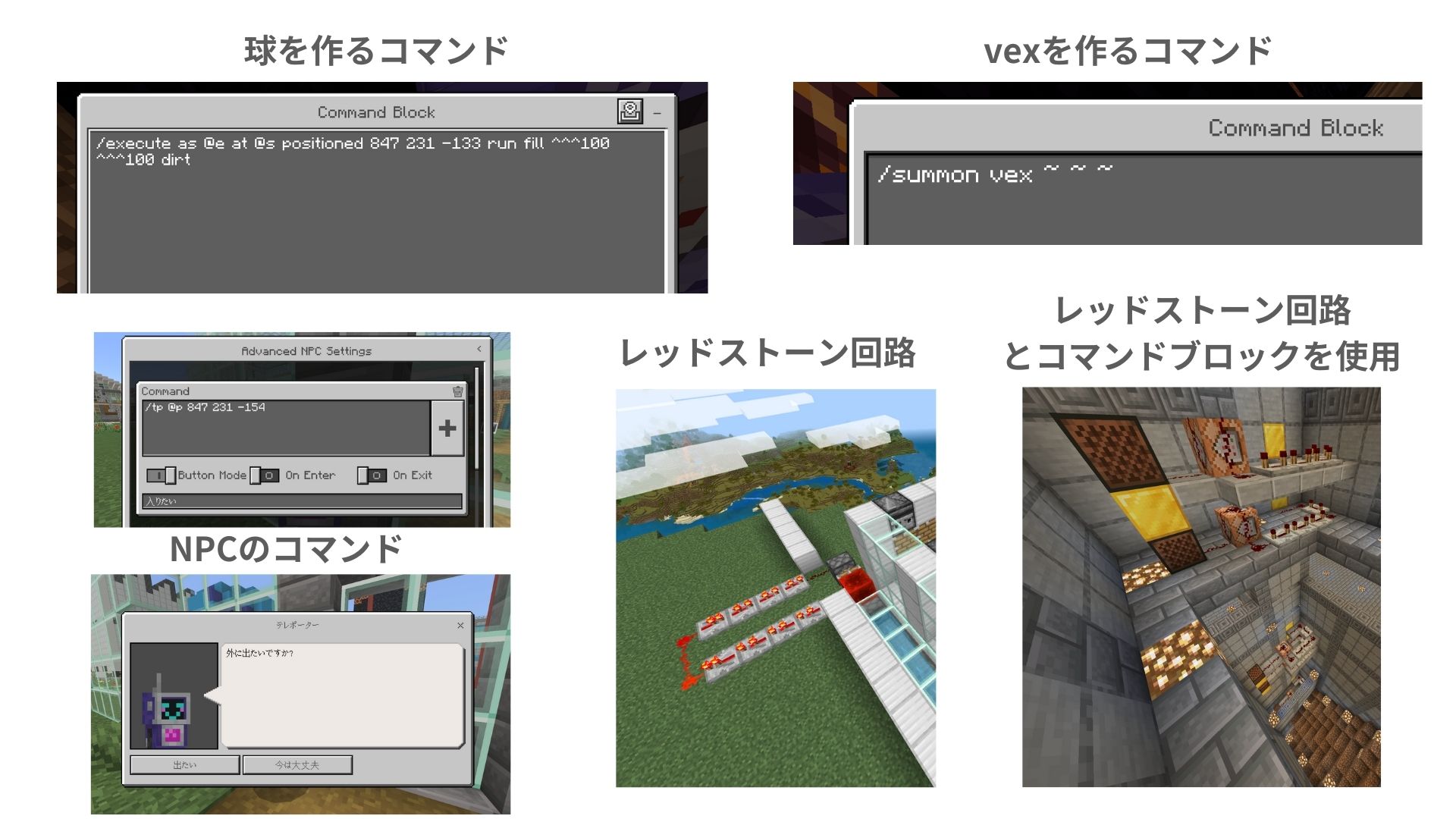 どのようなことを調べたか