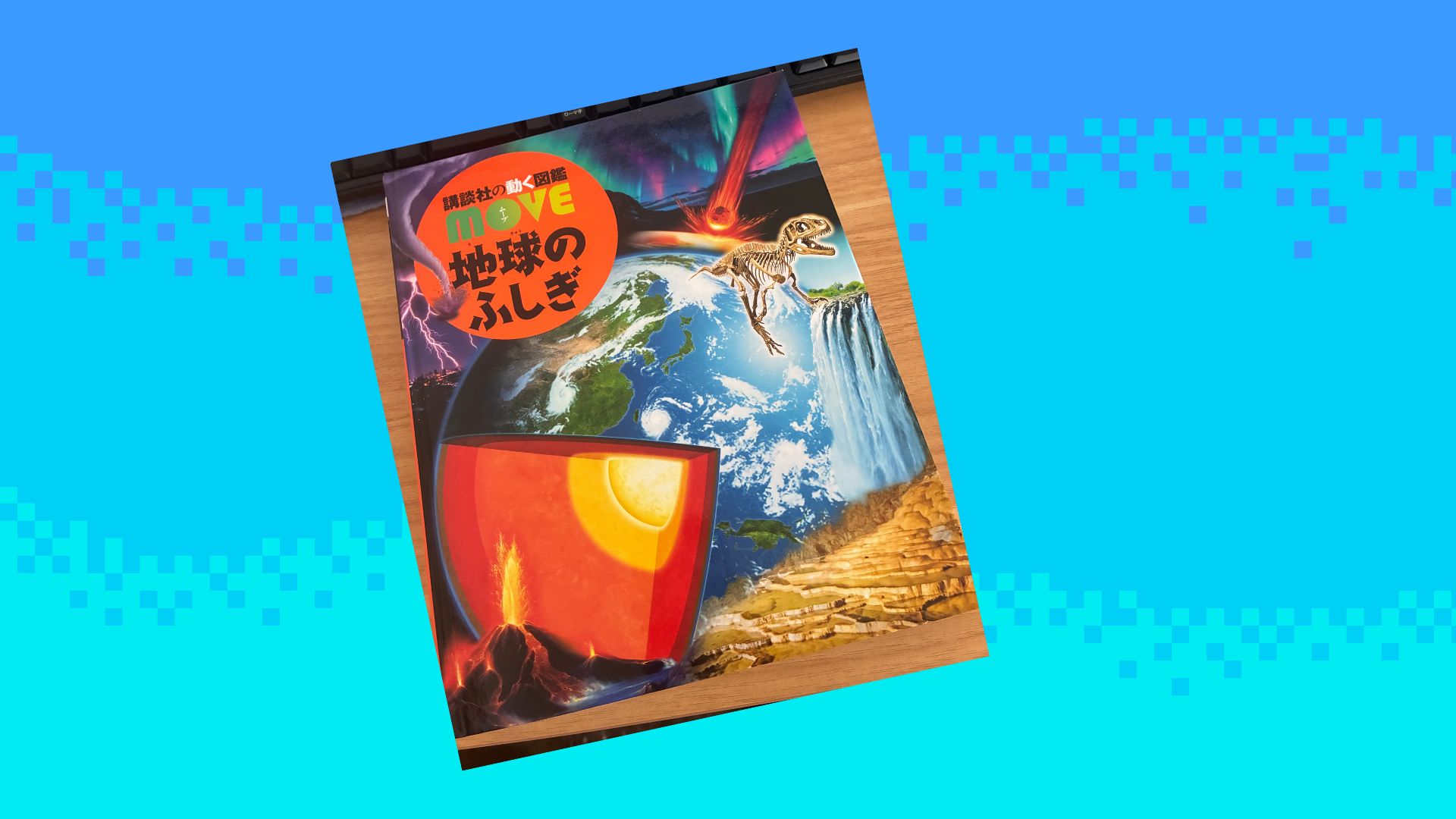 災害や防災、レジリエンスについてどのように調べましたか？