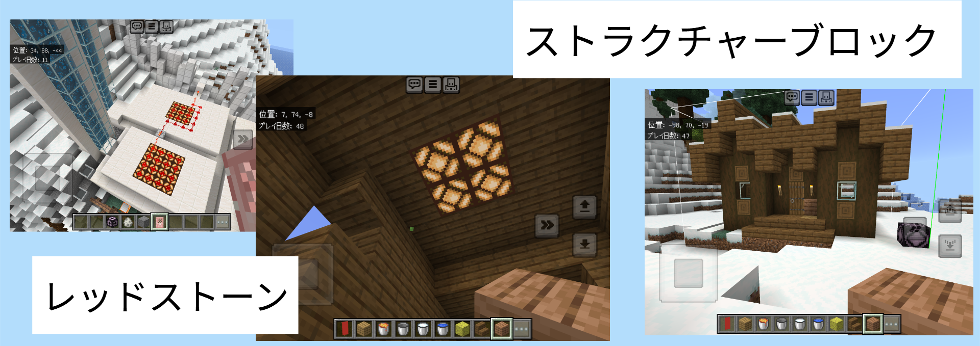 どのようなことを調べたか