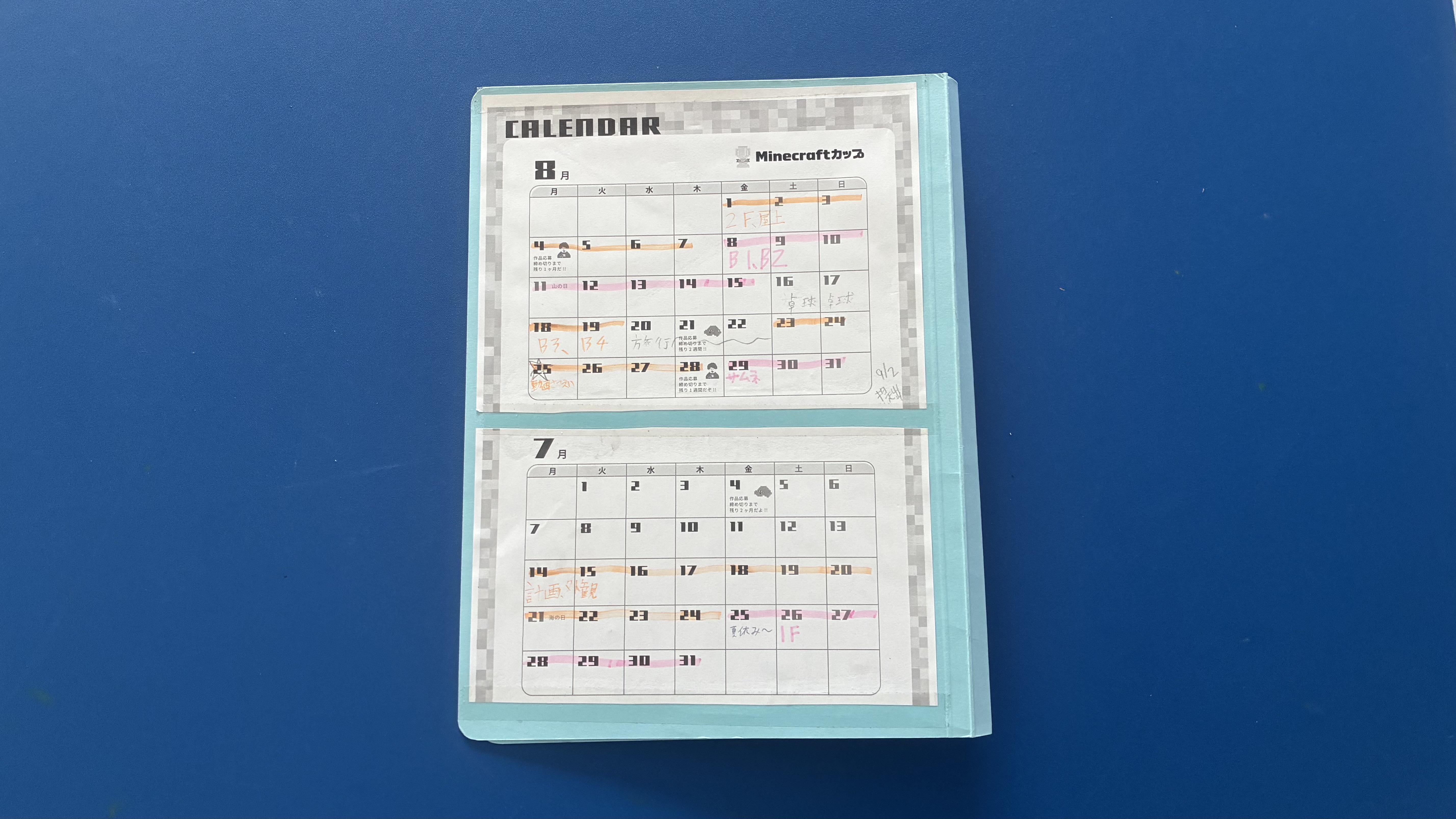 プログラミングなどを、どのように使ったか