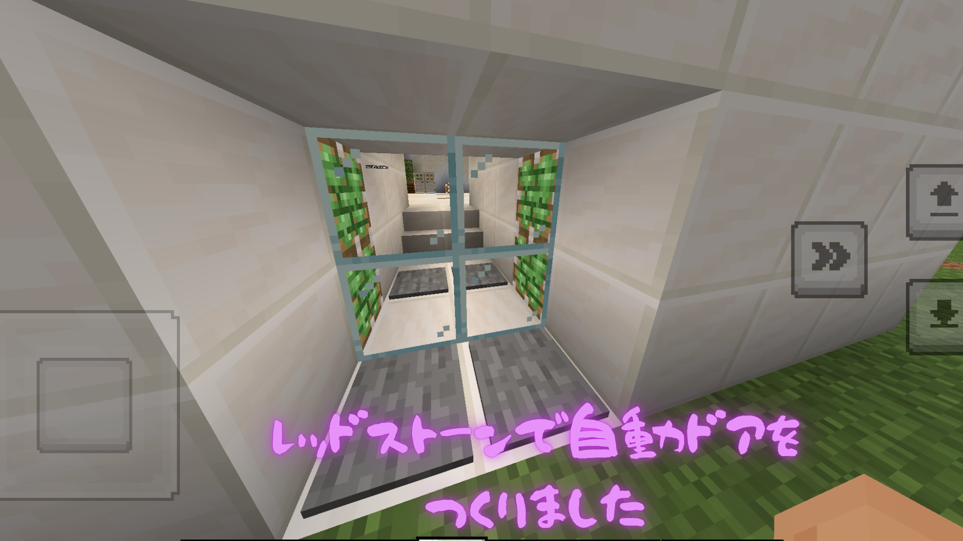 どのようなことを調べたか