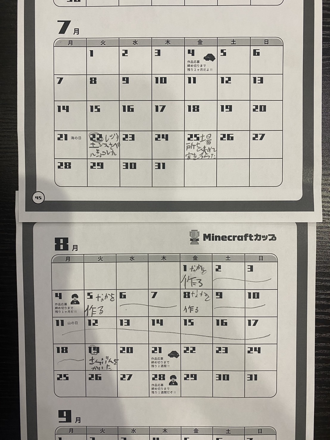 プログラミングなどを、どのように使ったか