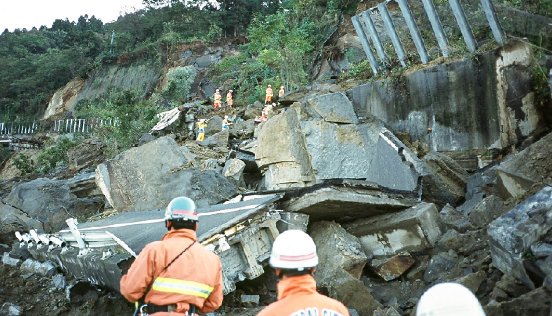 災害や防災、レジリエンスについてどのように調べましたか？