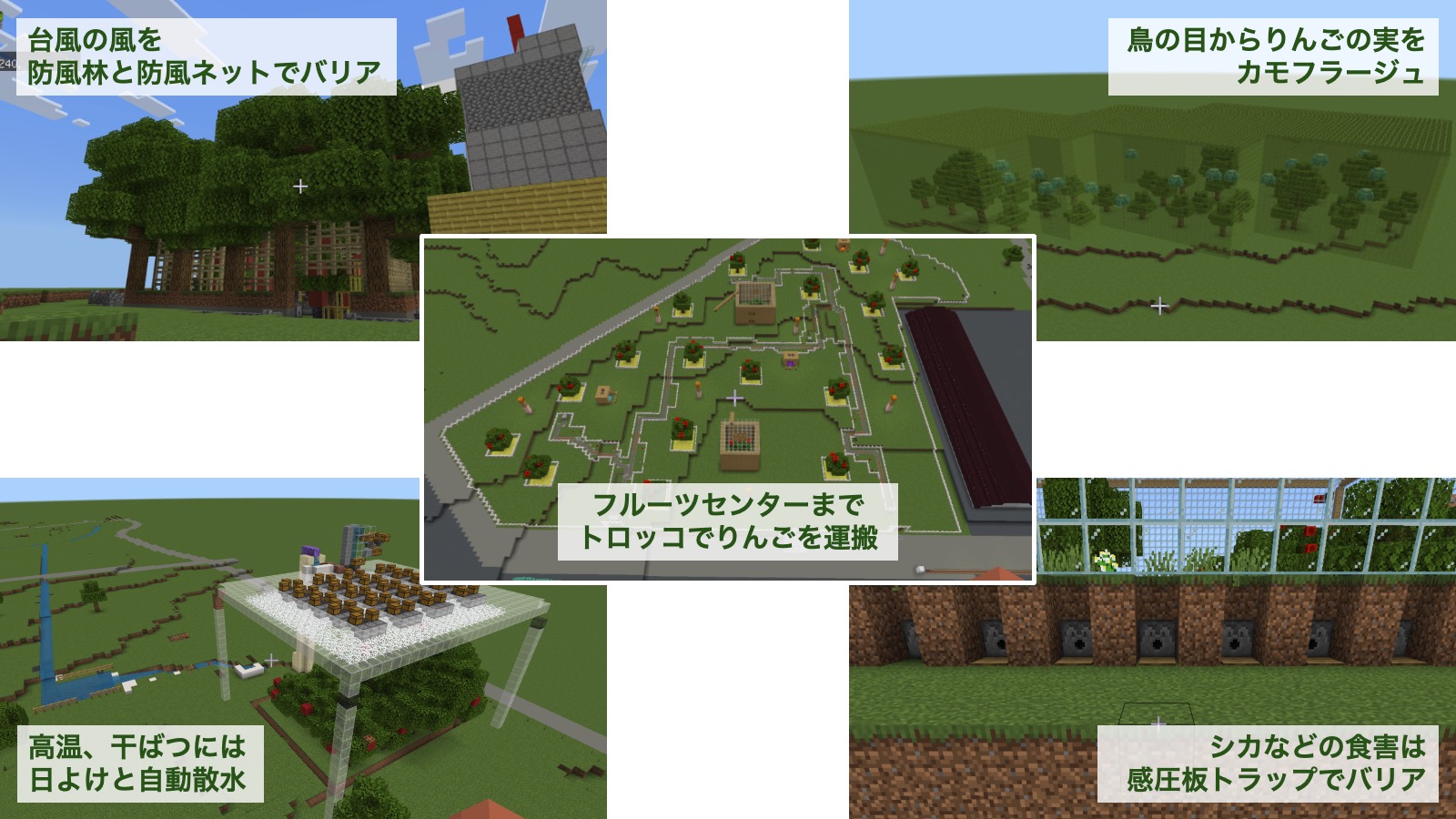 作品の中で注目してみてほしいところ