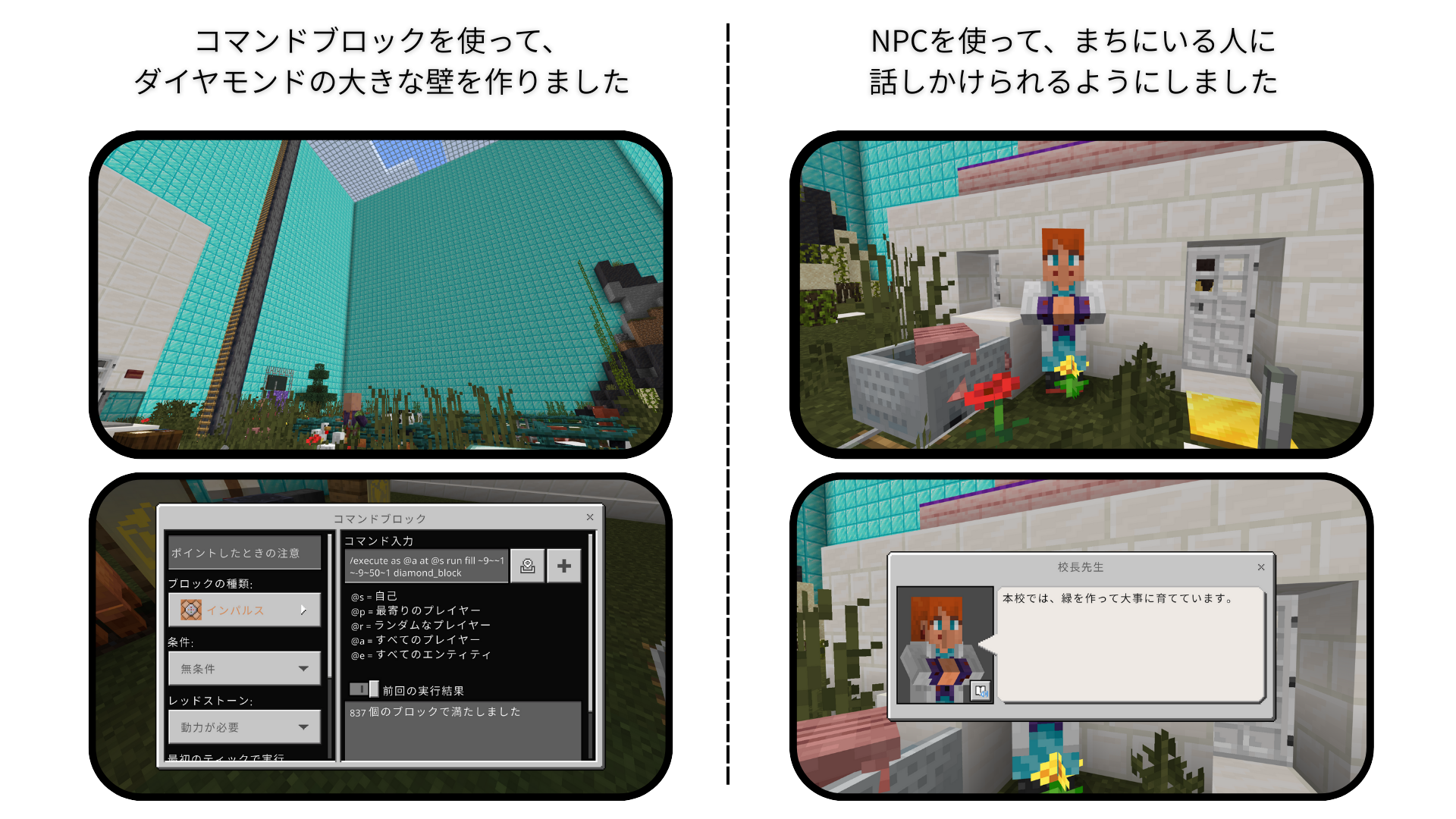 どのようなことを調べたか