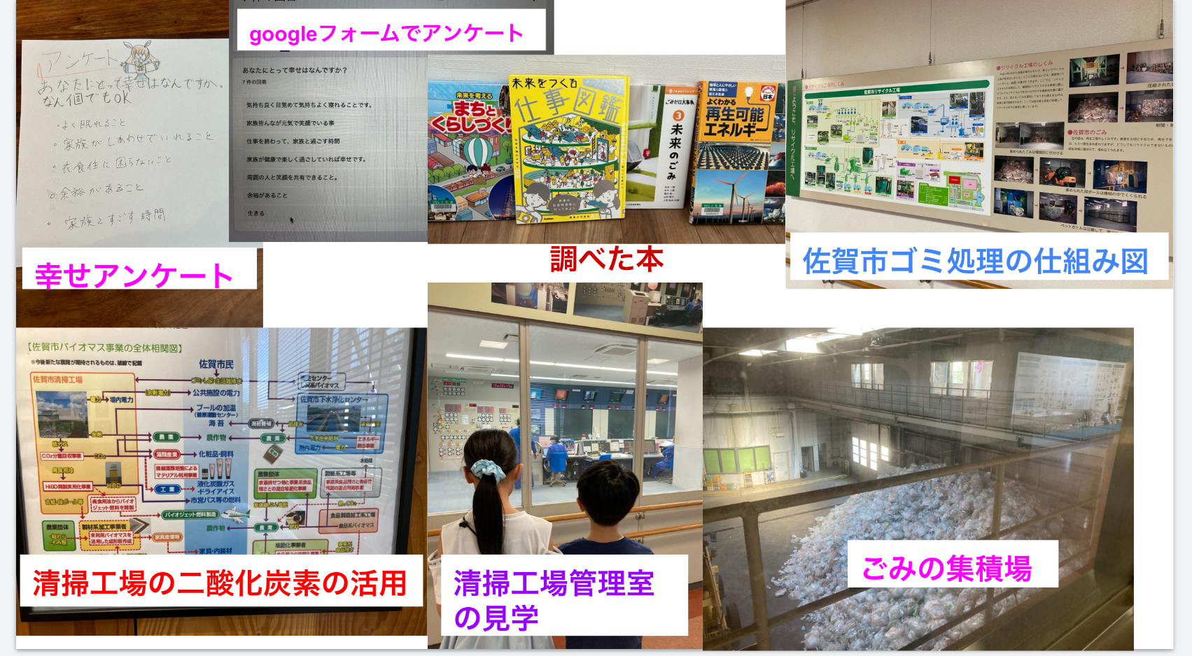 どのようなことを調べましたか？本やネット等、何を使って調べたか。場所や物、事柄を具体的にお書きください。