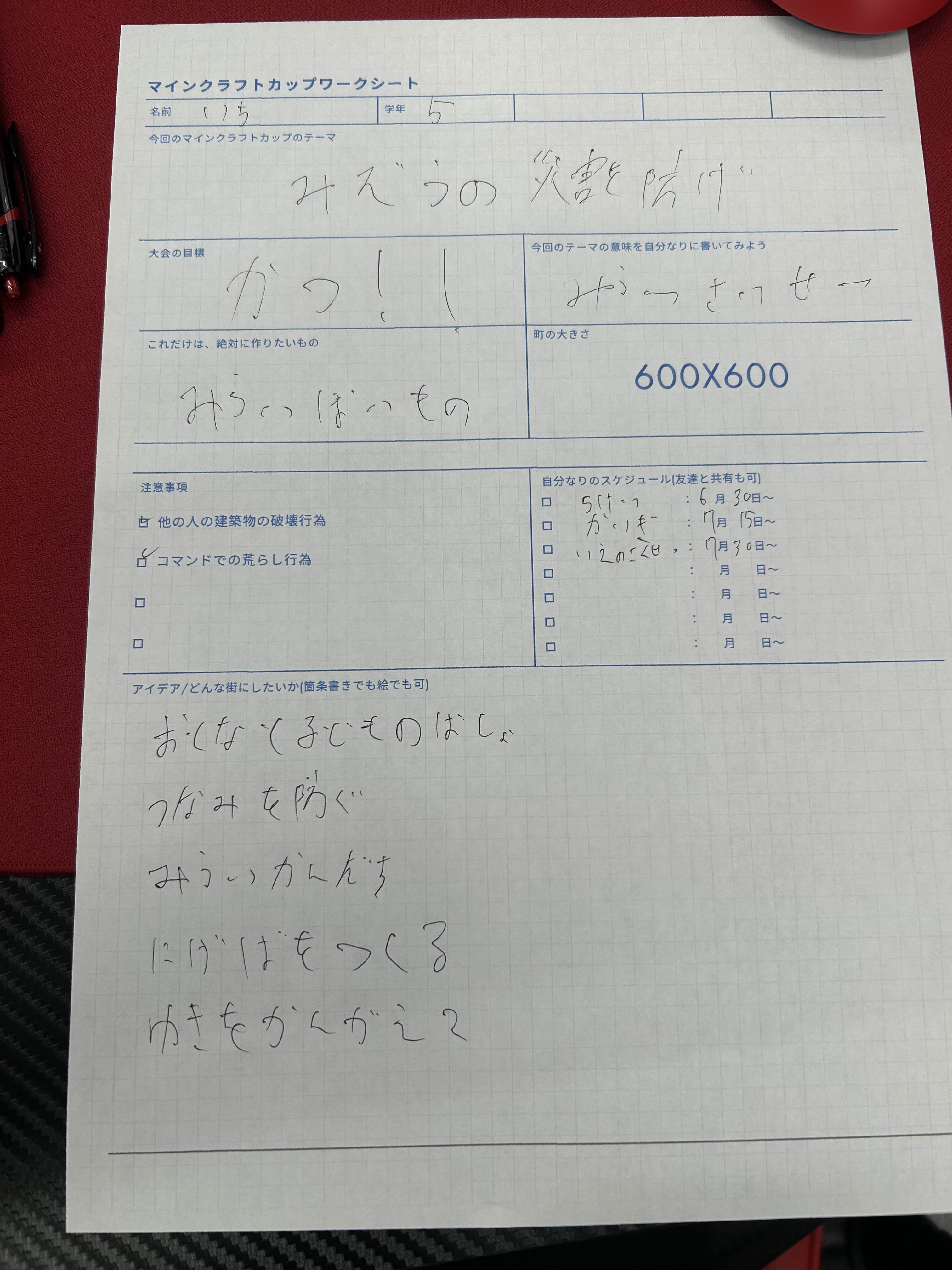 プログラミングなどを、どのように使ったか