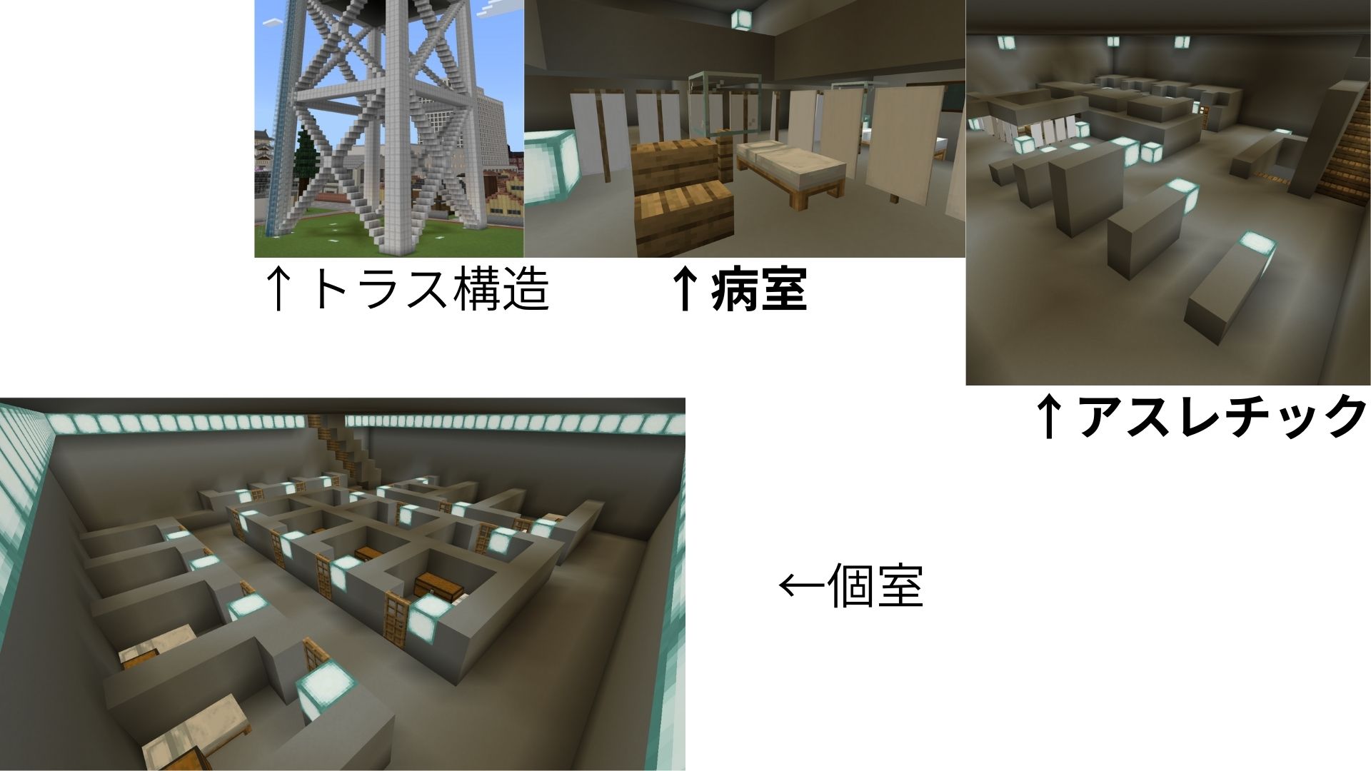 どのような計画をたてて制作をすすめたか