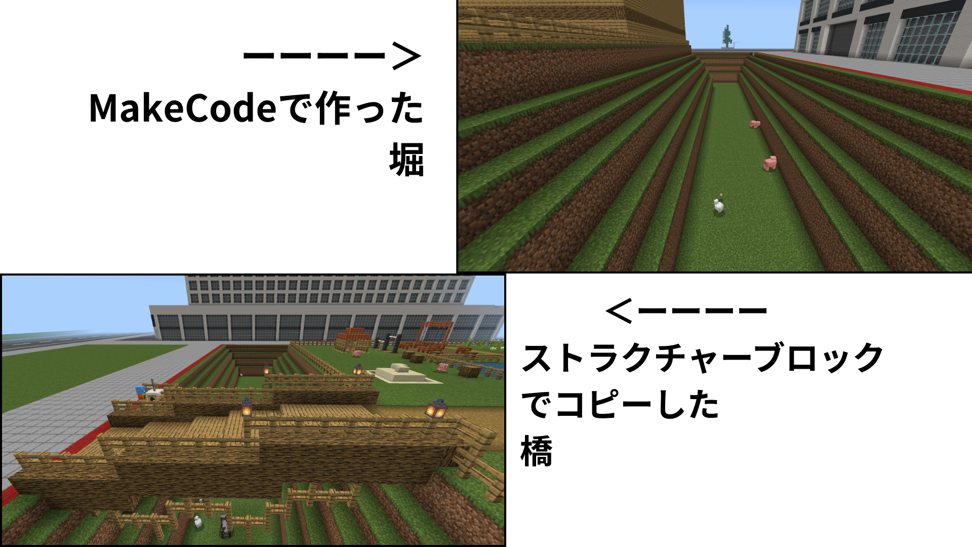 どのようなことを調べたか