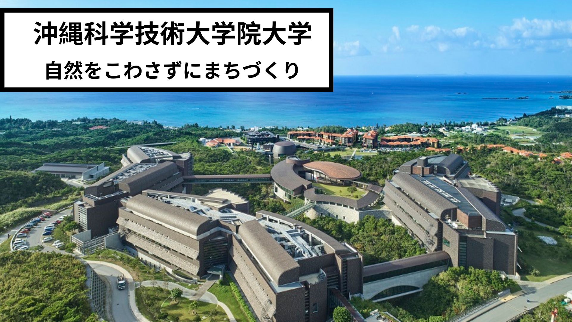 どのようなことを調べましたか？本やネット等、何を使って調べたか。場所や物、事柄を具体的にお書きください。