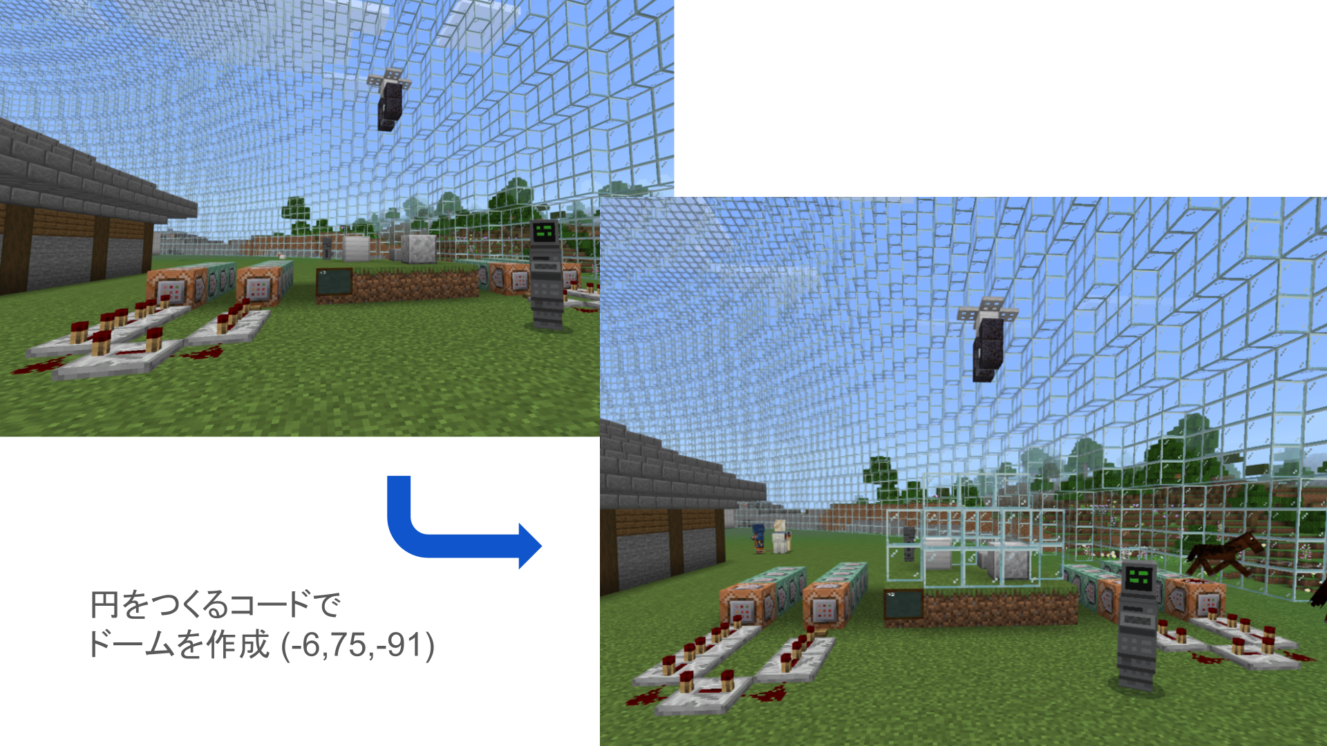どのようなことを調べたか