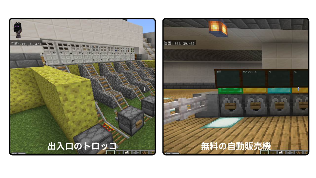 どのようなことを調べたか