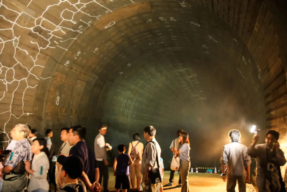 災害や防災、レジリエンスについてどのように調べましたか?