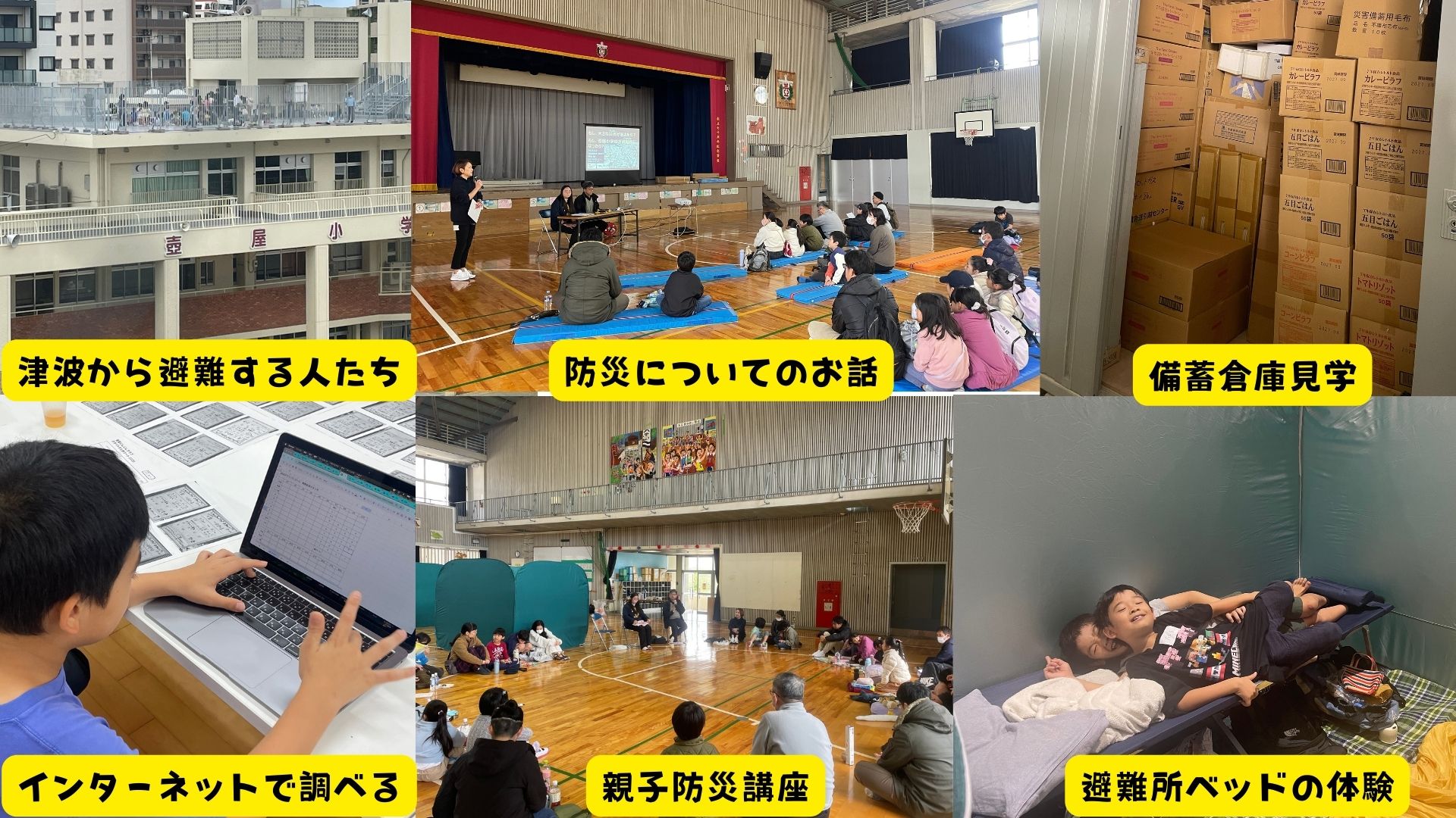 災害や防災、レジリエンスについてどのように調べましたか？