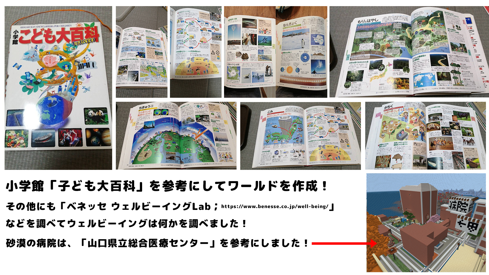 どのようなことを調べましたか？本やネット等、何を使って調べたか。場所や物、事柄を具体的にお書きください。