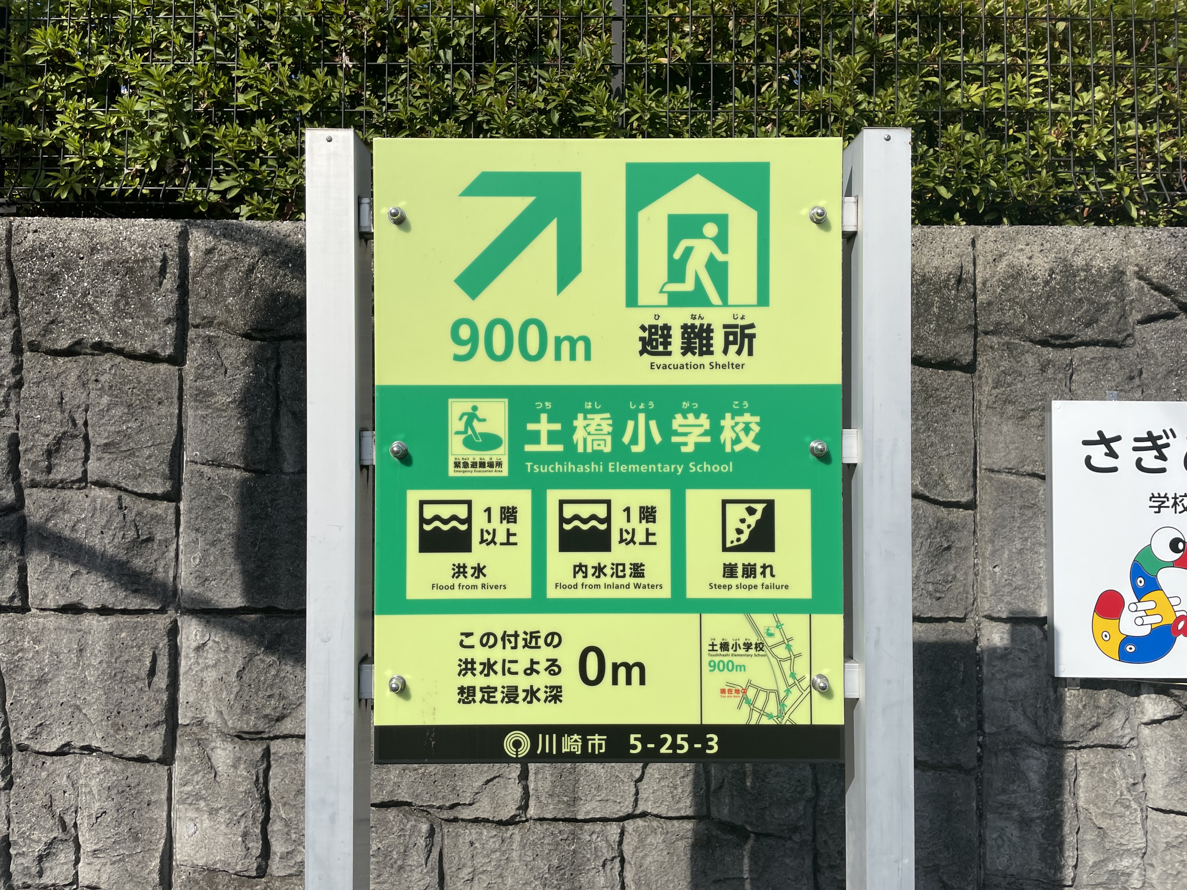 災害や防災、レジリエンスについてどのように調べましたか?