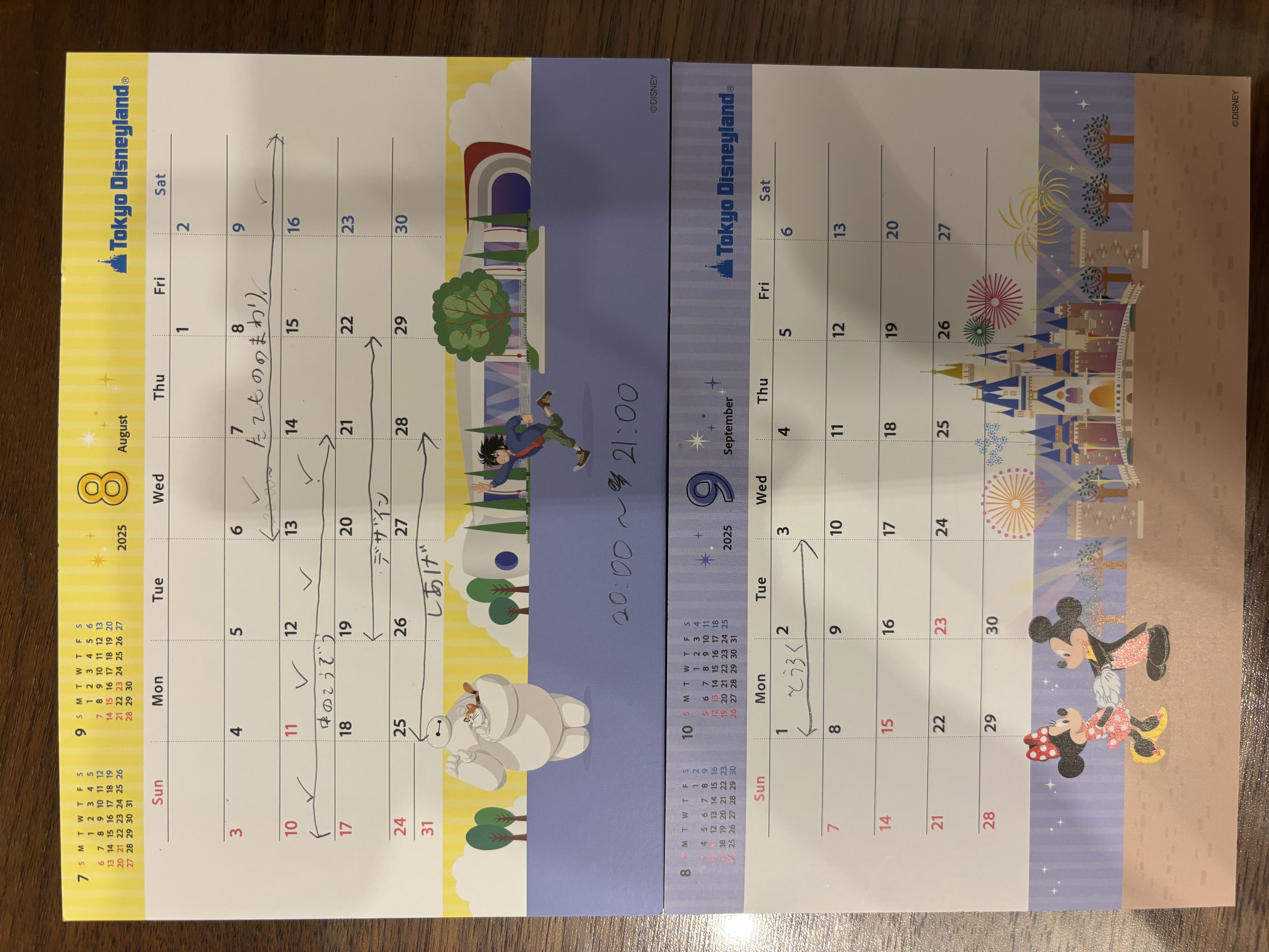 スケジュールや作っていく計画を立てましたか?