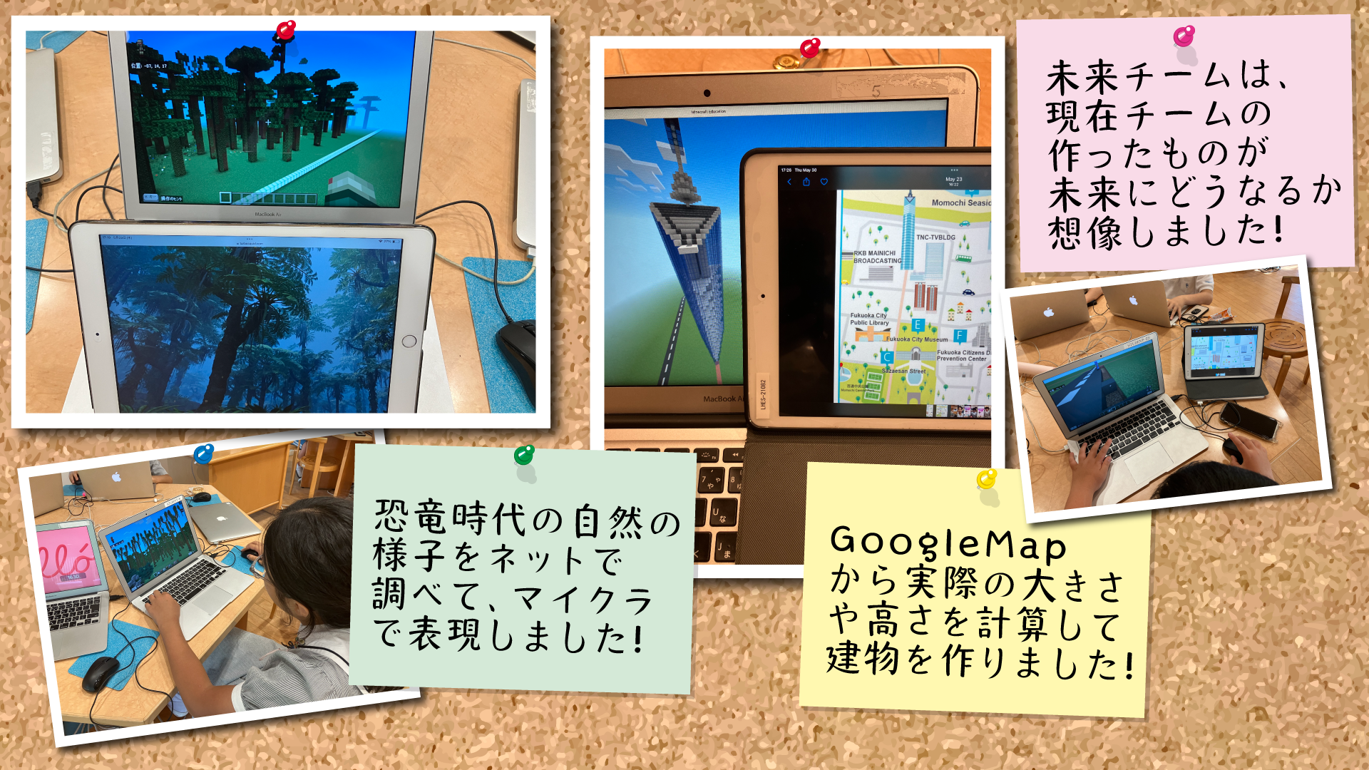 どのようなことを調べましたか？本やネット等、何を使って調べたか。場所や物、事柄を具体的にお書きください。