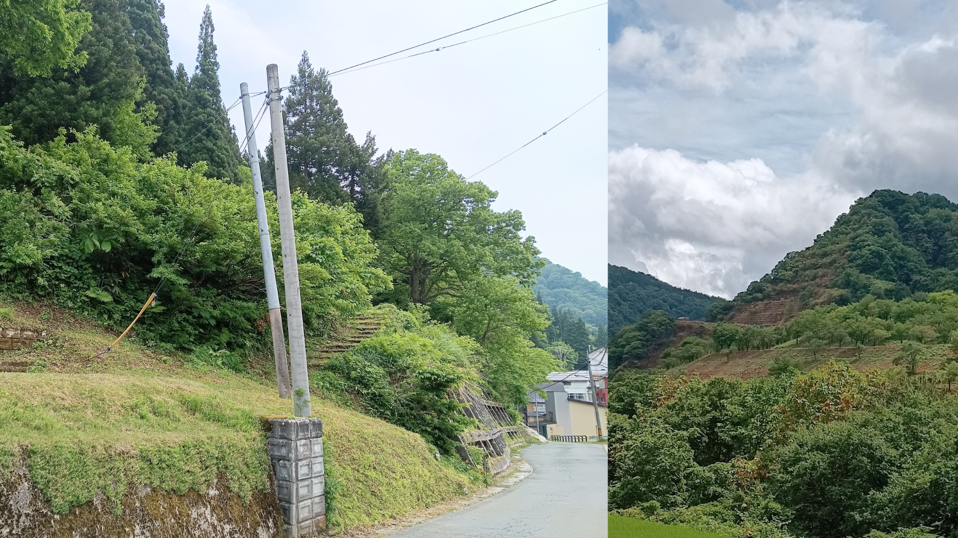 どのような計画を立てて制作をすすめていきましたか?