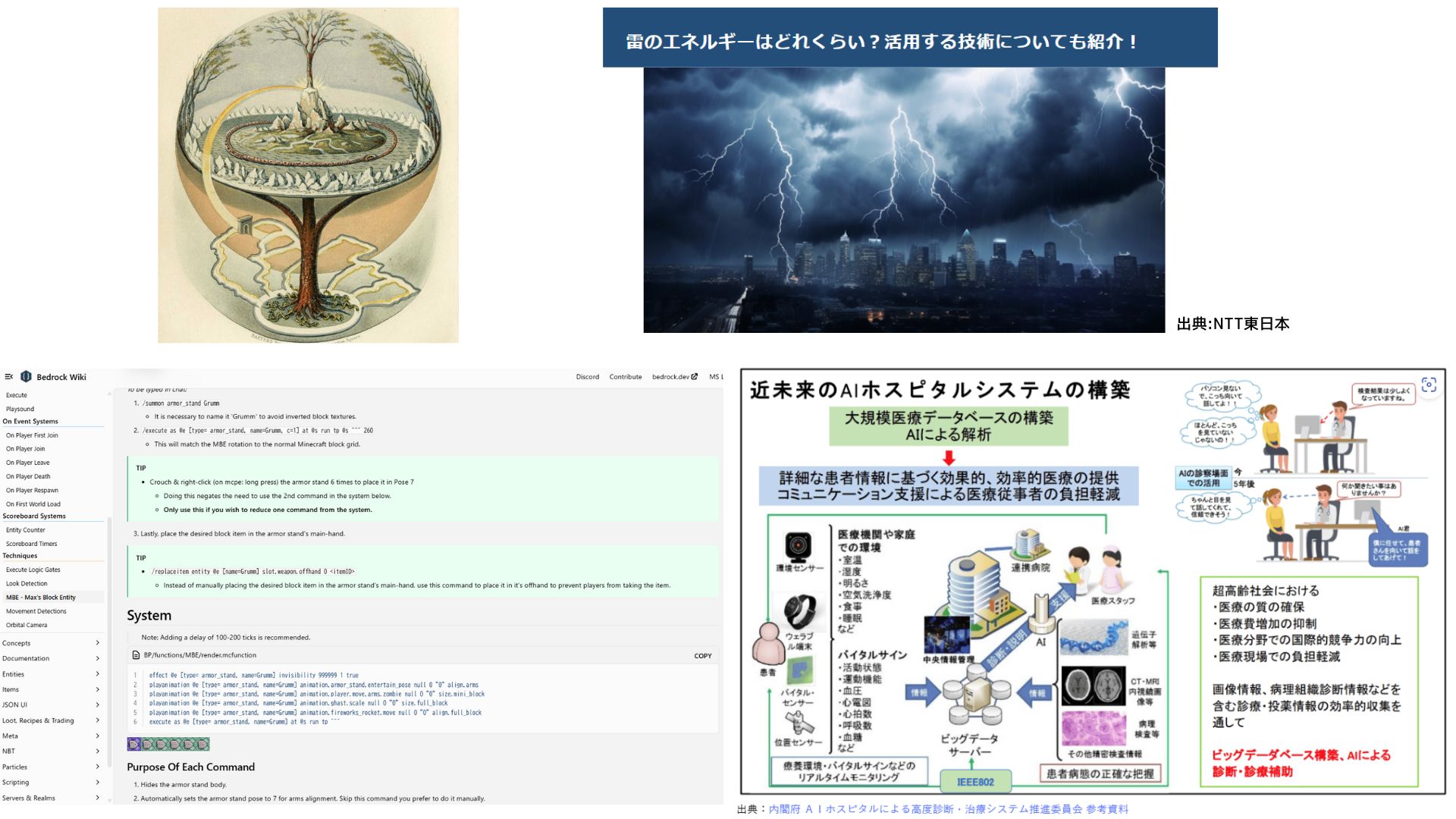 どのようなことを調べましたか？本やネット等、何を使って調べたか。場所や物、事柄を具体的にお書きください。