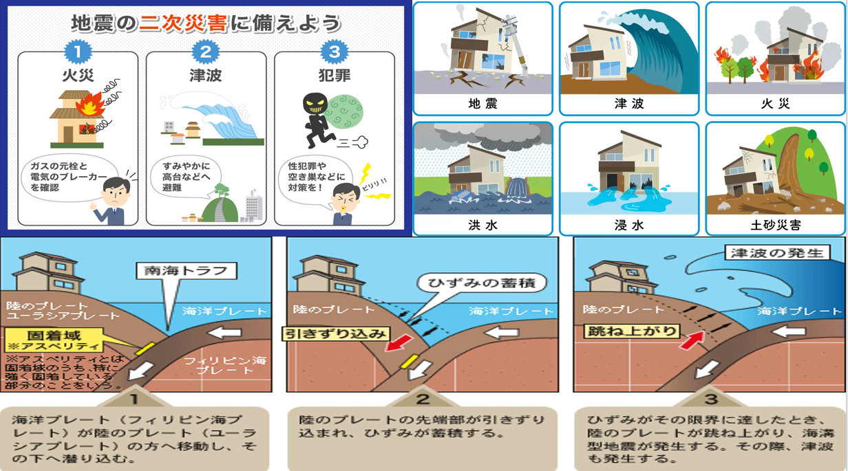 どのようなことを調べましたか?本やネット等、何を使って調べたか。場所や物、事柄を具体的にお書きください。