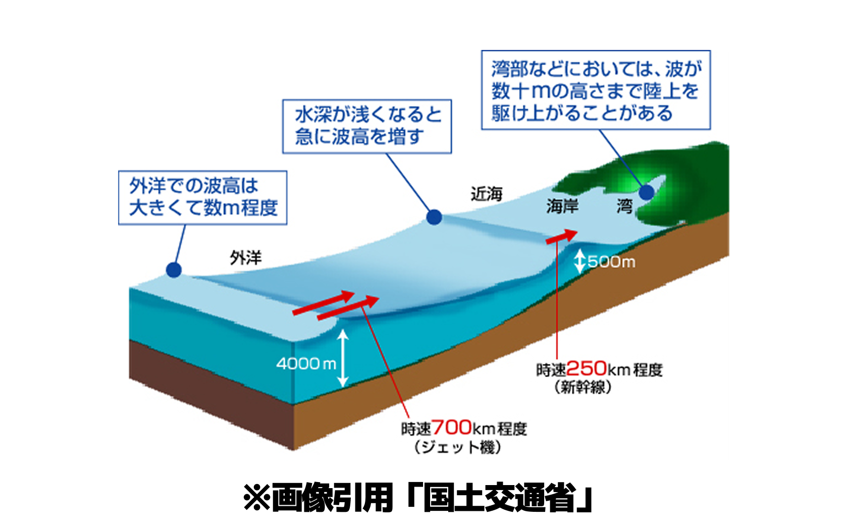 どのようなことを調べましたか?本やネット等、何を使って調べたか。場所や物、事柄を具体的にお書きください。
