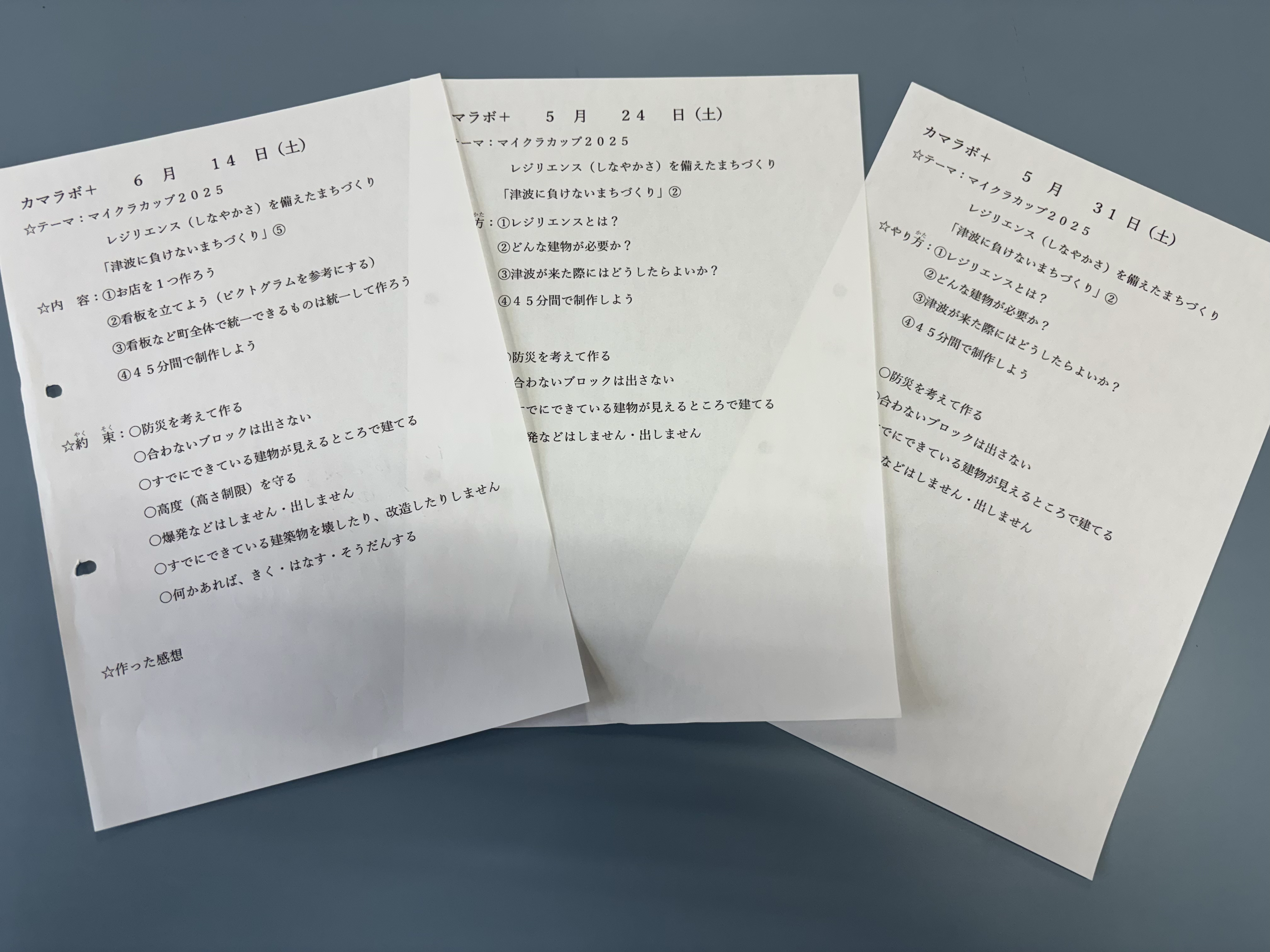 プログラミングなどを、どのように使ったか