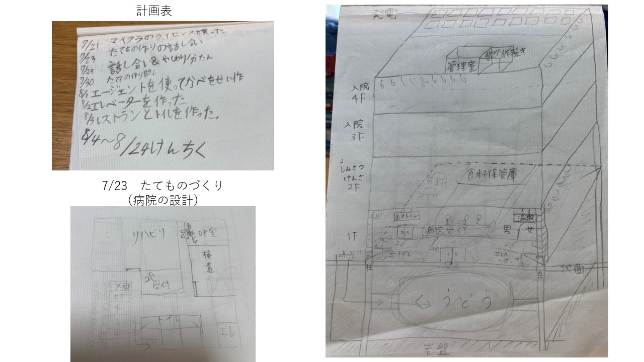プログラミングなどを、どのように使ったか