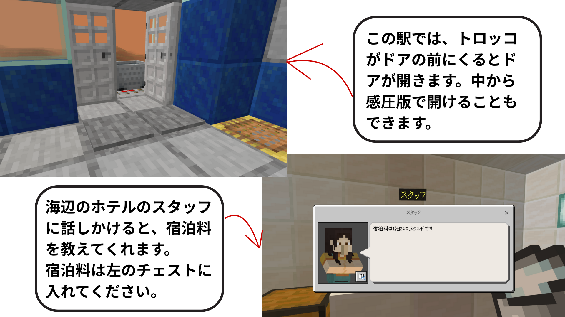 どのようなことを調べたか