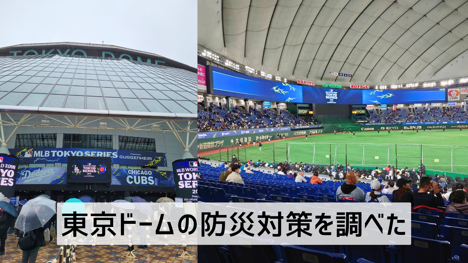災害や防災、レジリエンスについてどのように調べましたか?