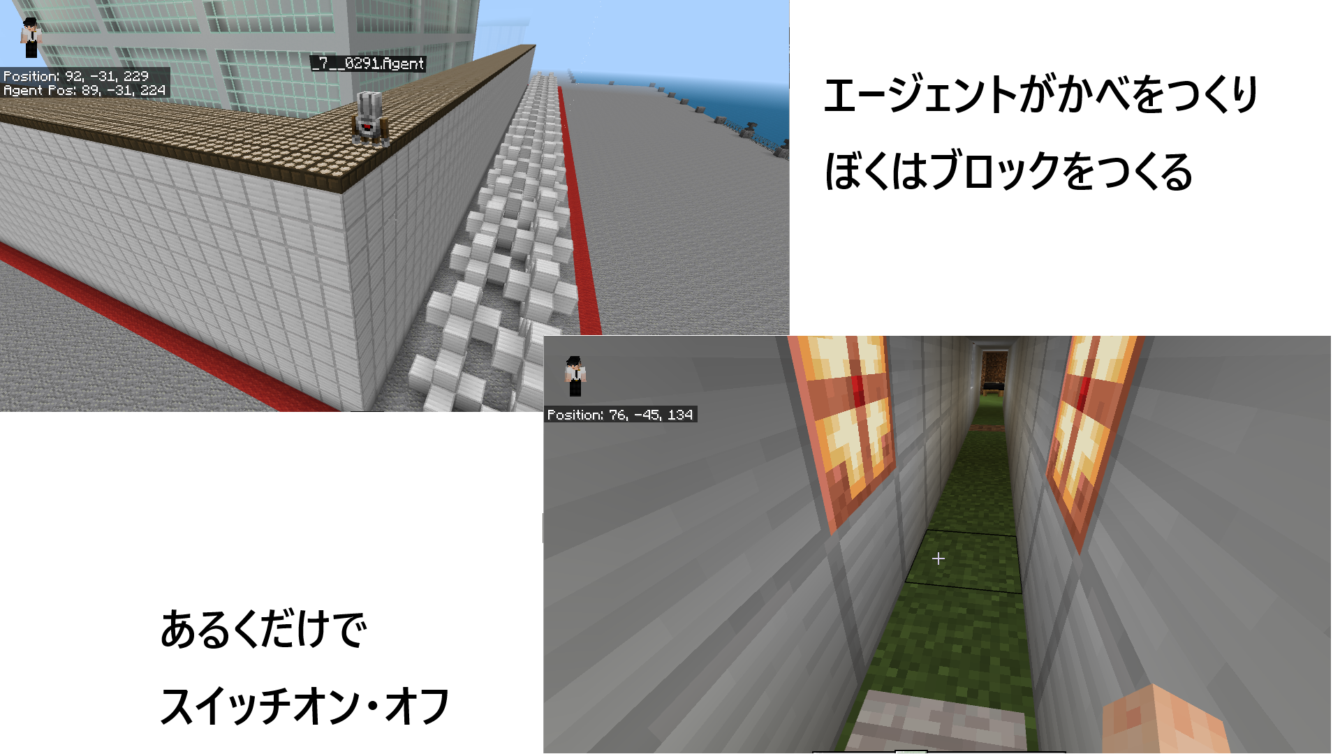 どのようなことを調べたか