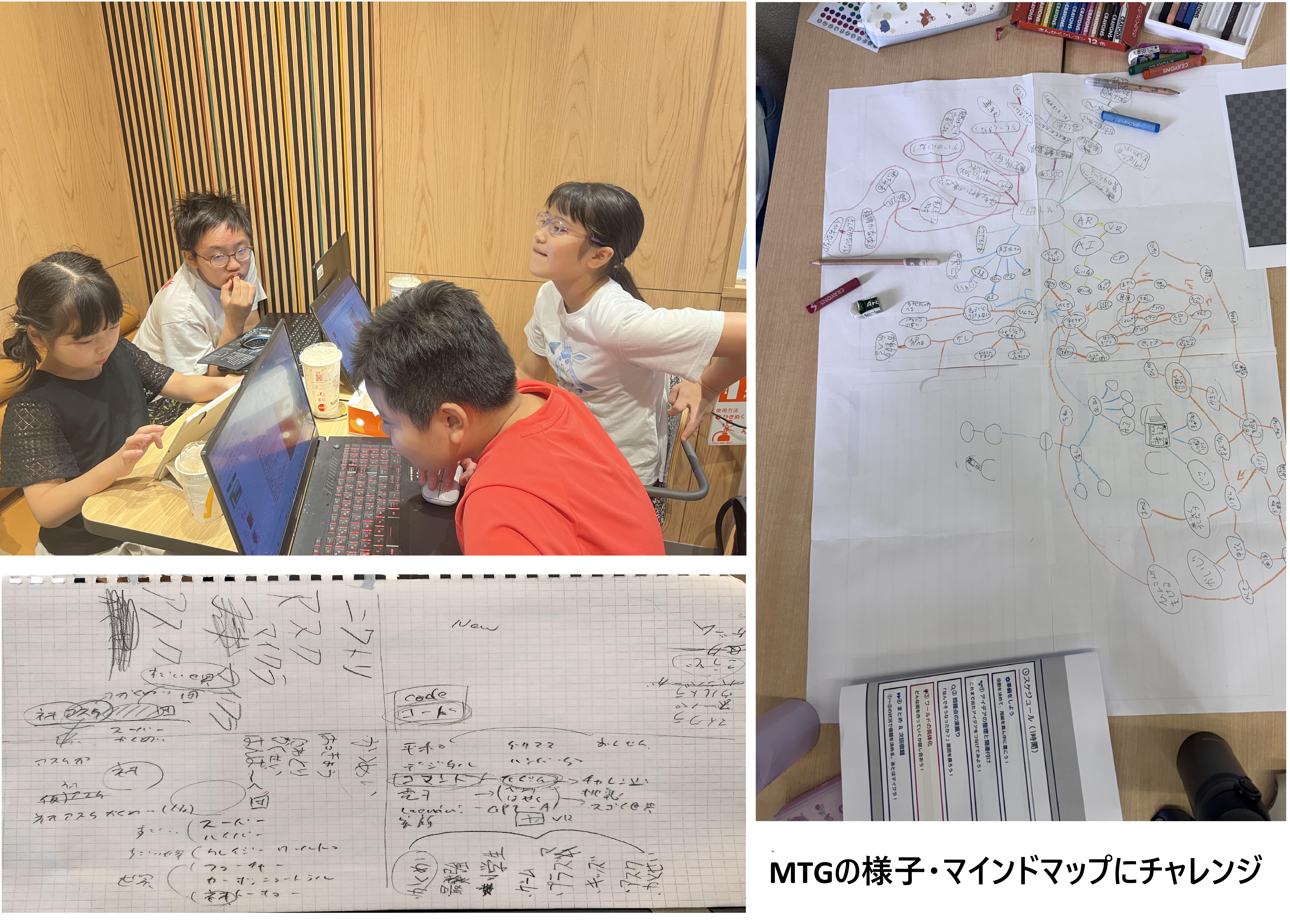プログラミングなどを、どのように使ったか