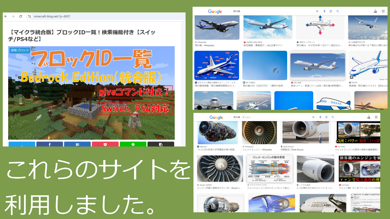 どのようなことを調べましたか？本やネット等、何を使って調べたか。場所や物、事柄を具体的にお書きください。