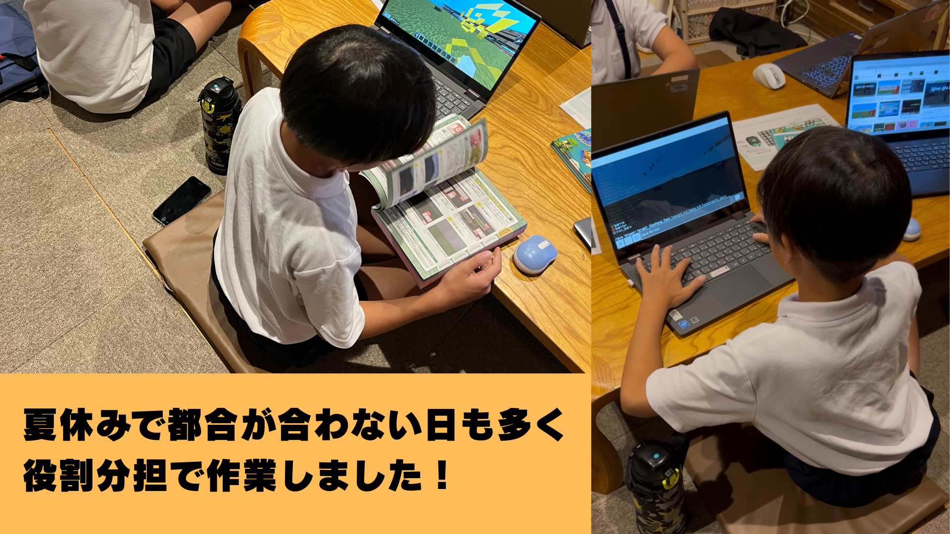 プログラミングなどを、どのように使ったか