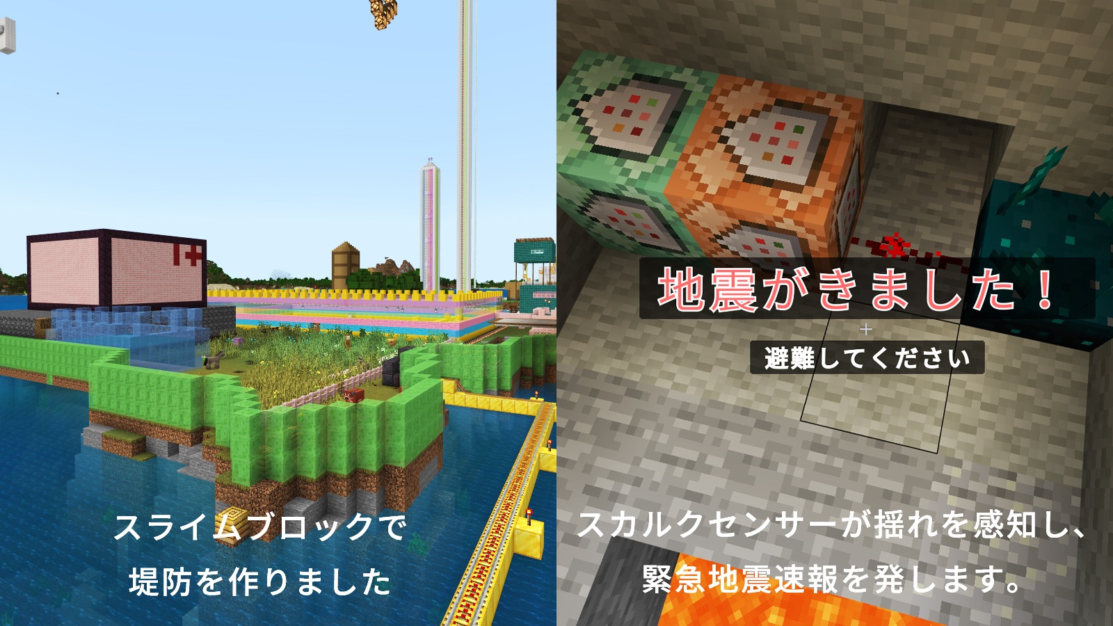 どのようなことを調べましたか?本やネット等、何を使って調べたか。場所や物、事柄を具体的にお書きください。