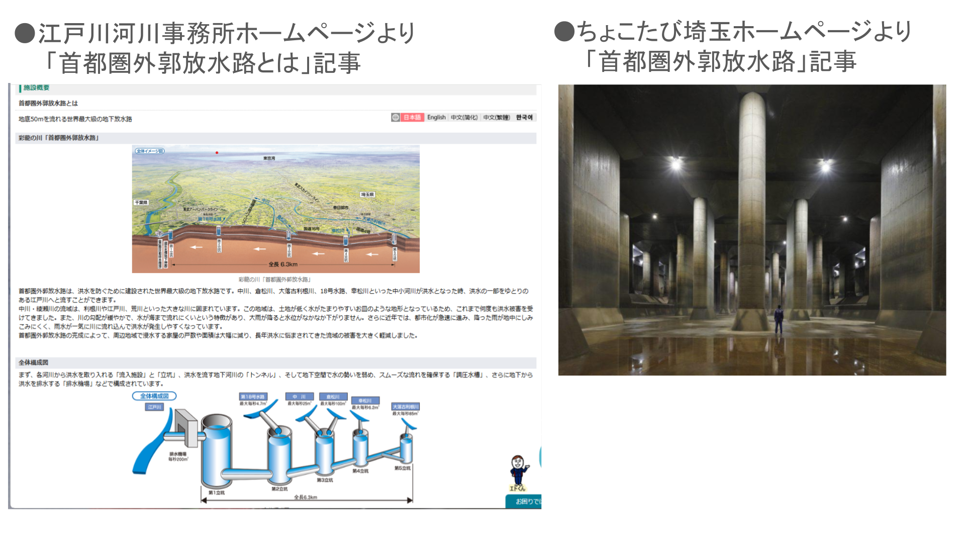 災害や防災、レジリエンスについてどのように調べましたか?