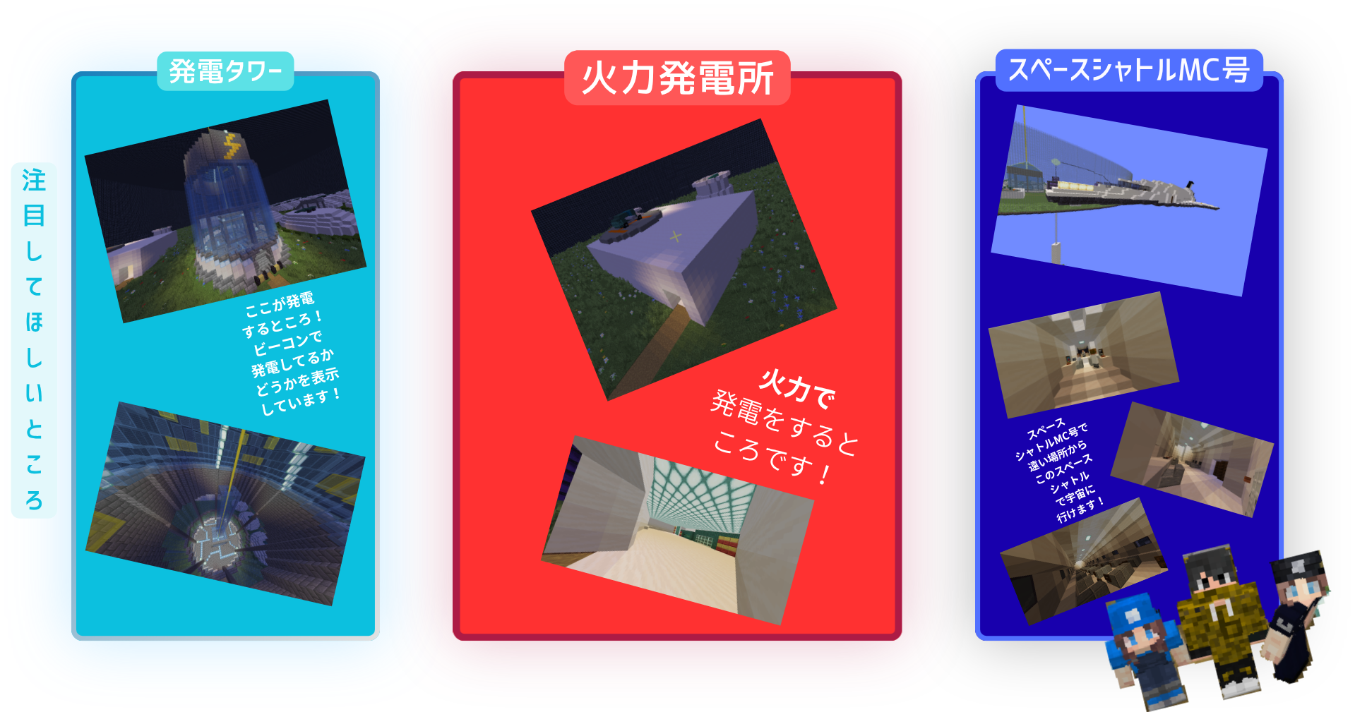 どのようなことを調べたか