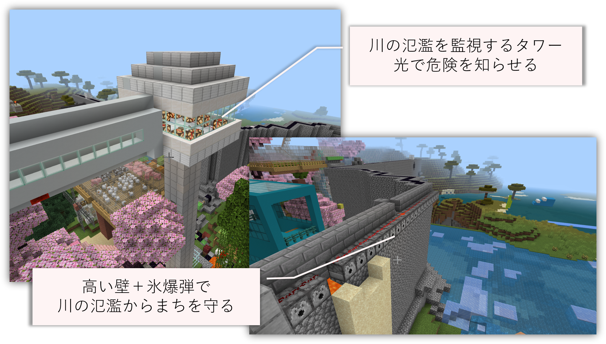 どのようなことを調べたか